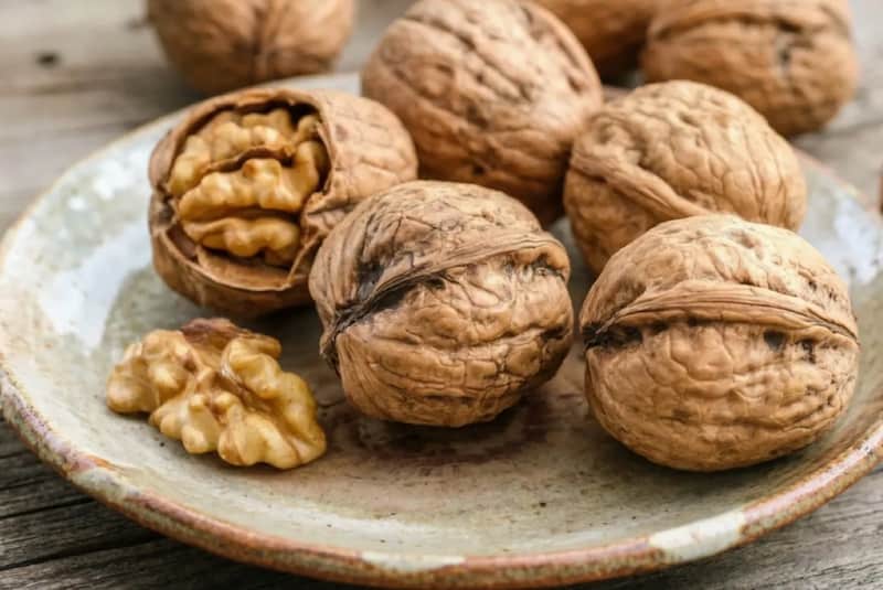 تصویر 3 از گردو تویسرکان با مغز درشت و خوش طعم